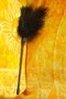 feathering